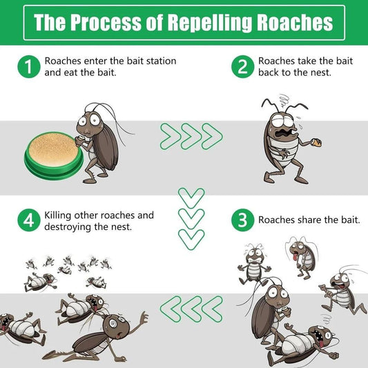 Powerful Cockroach Killer Gel - All in one shop